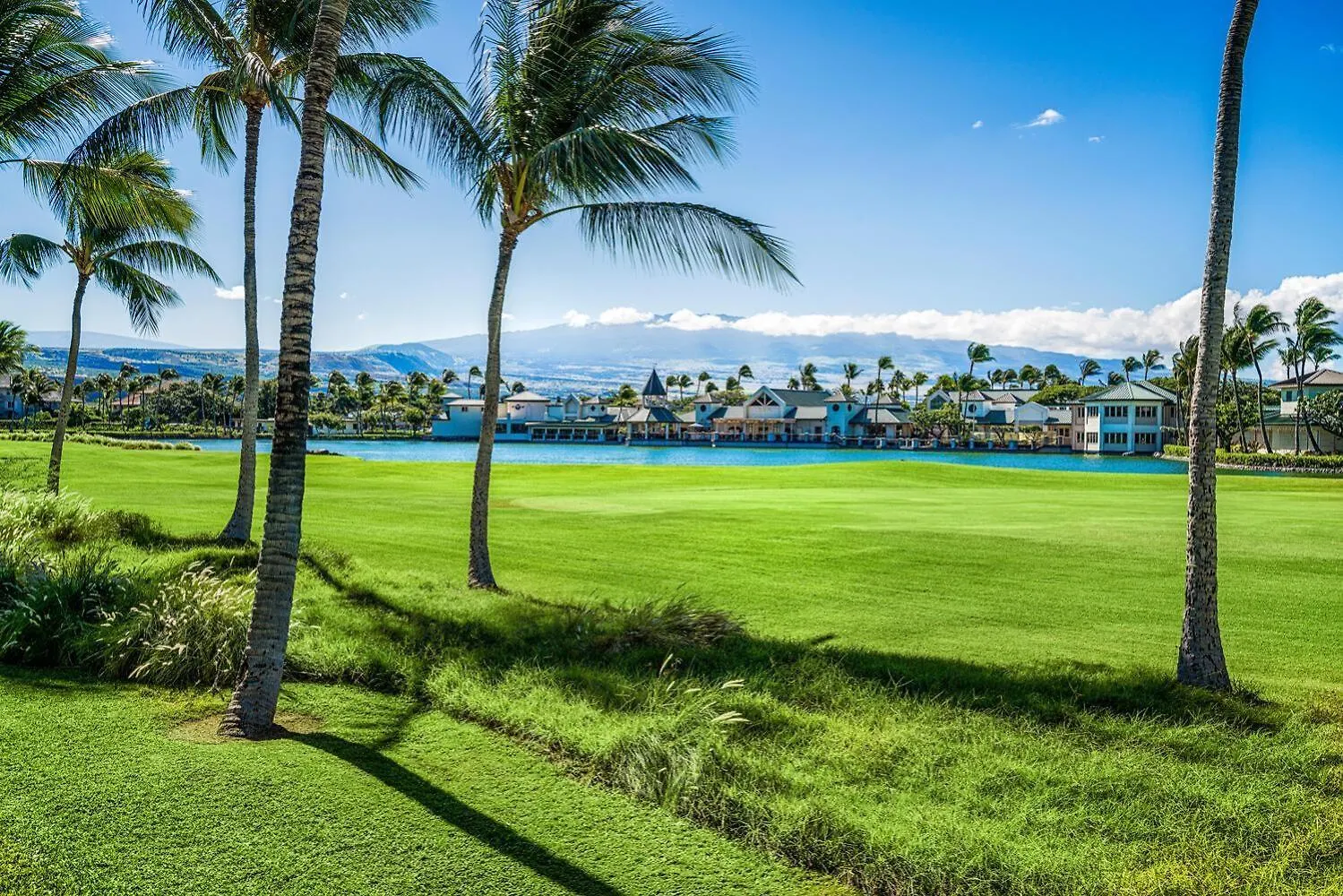 Fairway Villas Waikoloa A21 Holiday home