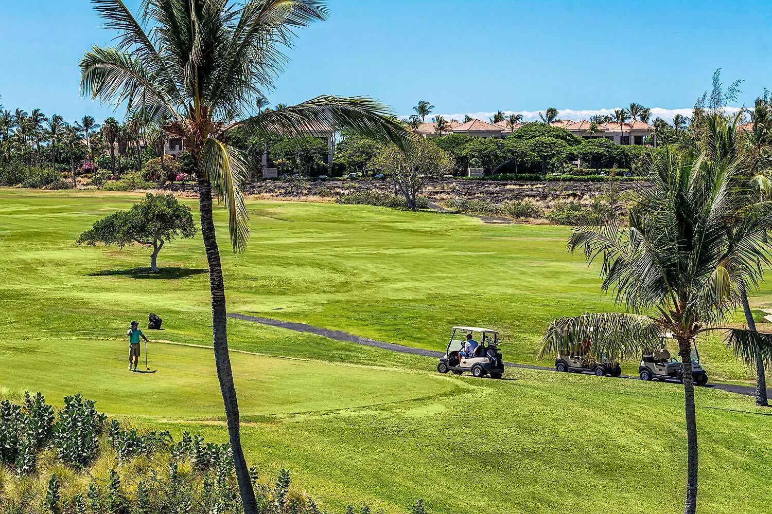 Fairway Villas Waikoloa A21 0*,