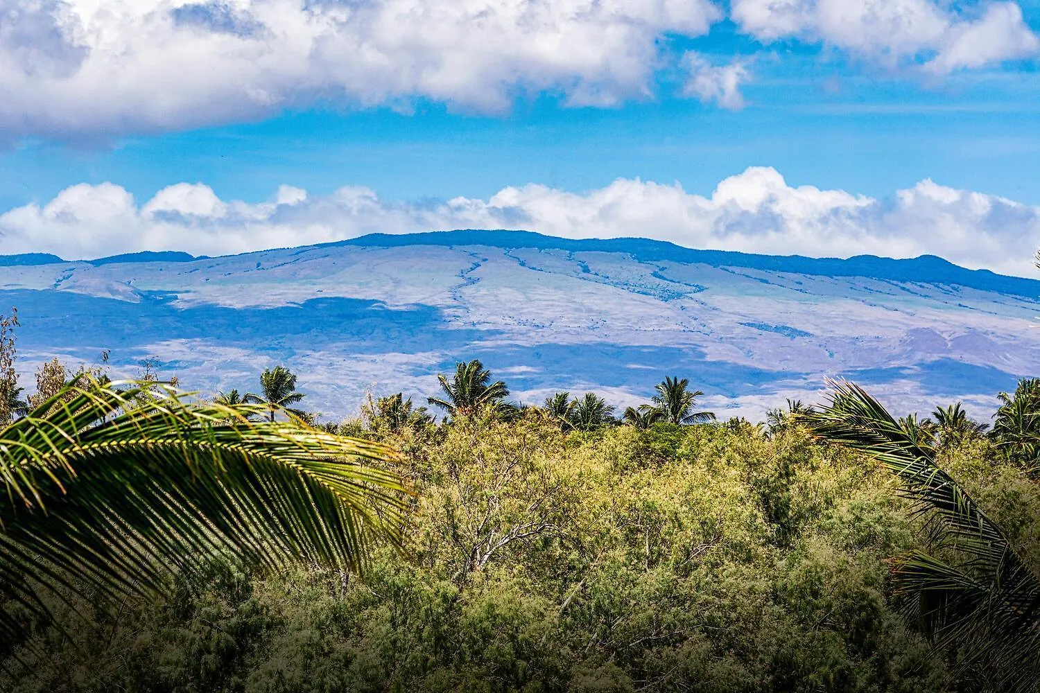 Fairway Villas Waikoloa A21