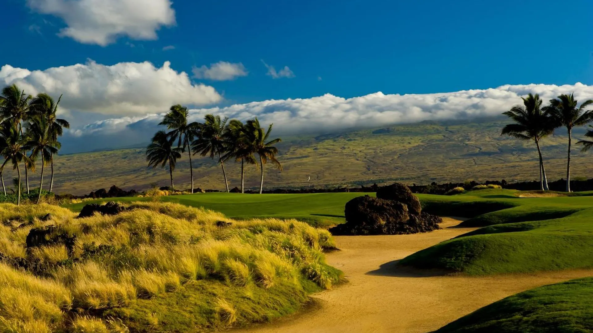 Fairway Villas Waikoloa A21 Holiday home